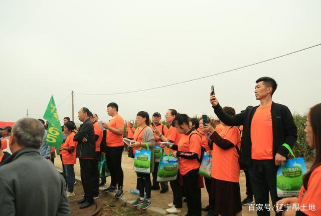 全球粮食市场最新动态，抢粮大战与形势分析