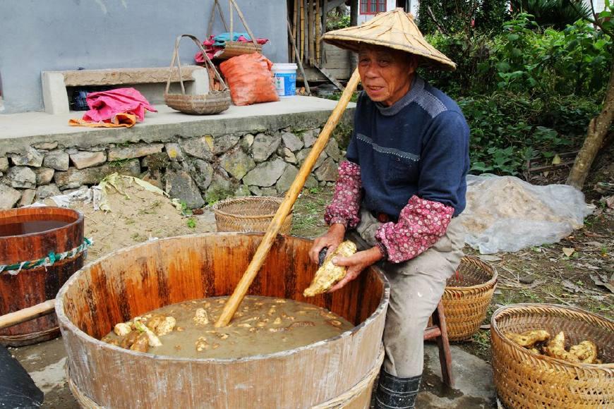 生存家族，迅雷下载的魅力与面临的挑战