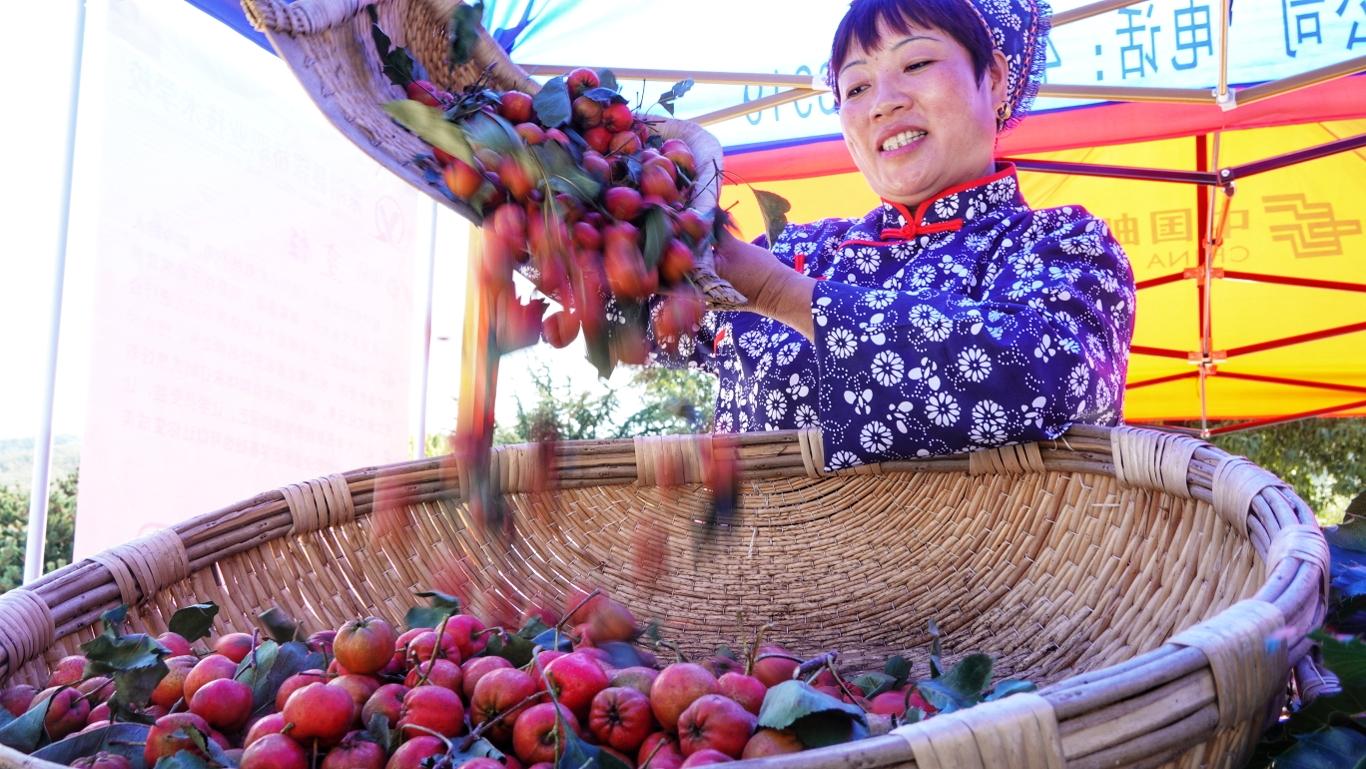 蒙阴手工活外发，地方经济与居民收入的双重提升机遇